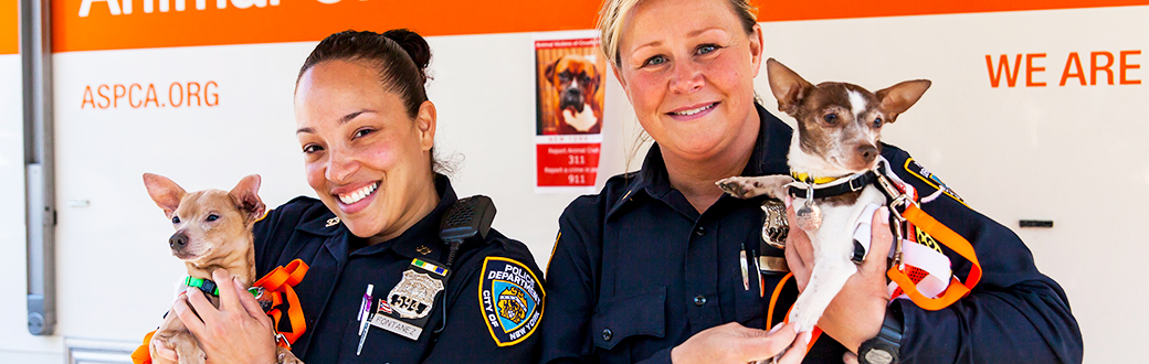 Celebrating Five Years Of The Aspca Nypd Partnership Pet Friendly Manhattan Real Estate